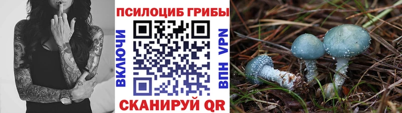 хочу наркоту Сосновоборск Псилоцибиновые грибы прущие грибы